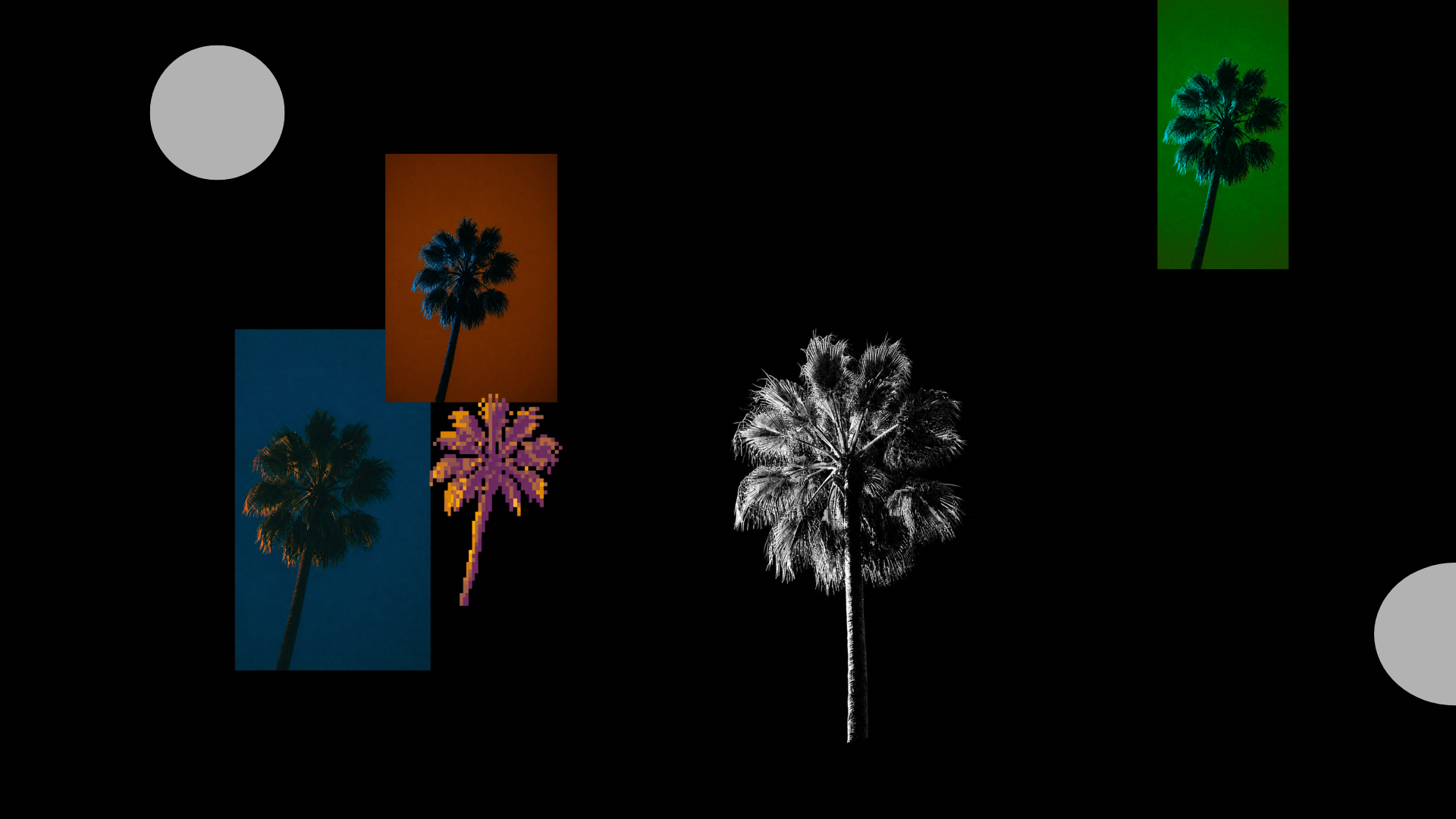ChapterX visual collage with palm trees